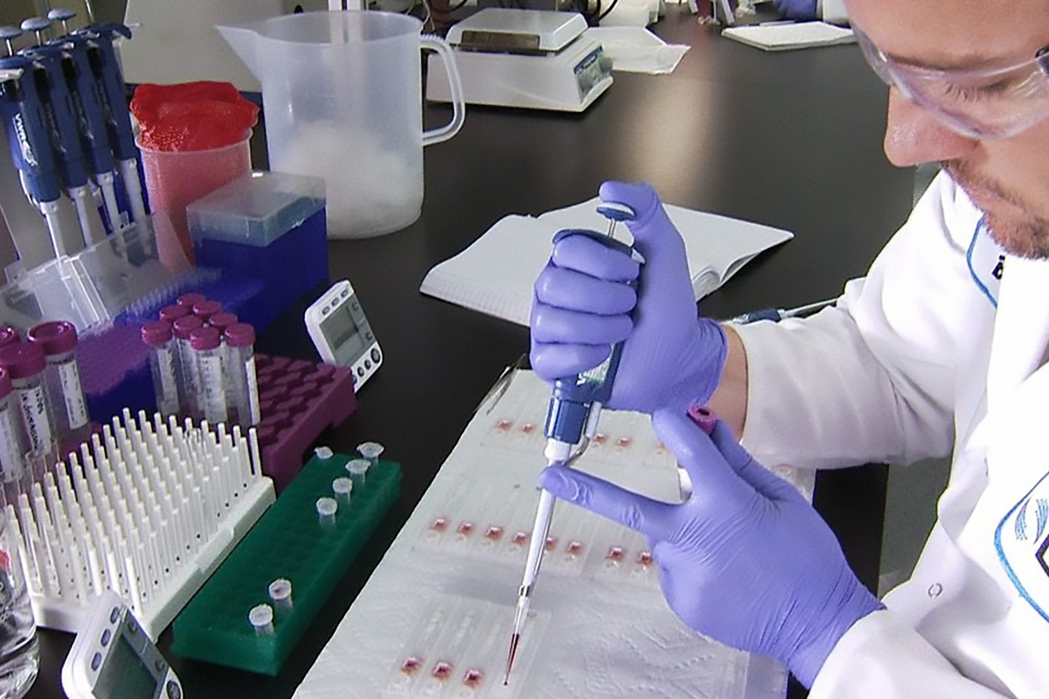 Contract-Assay-Development-2