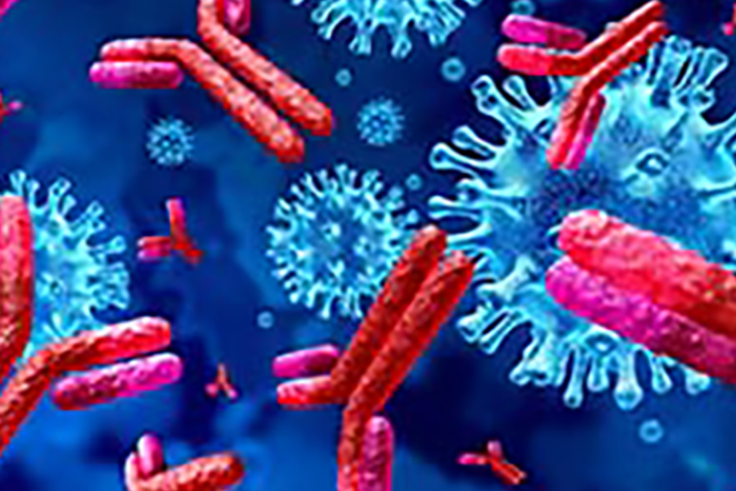 antibodies