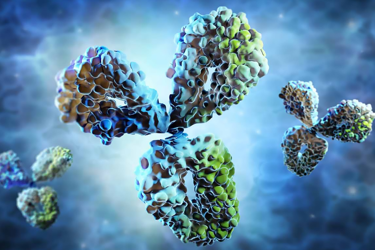 recombinant-antibodies-1