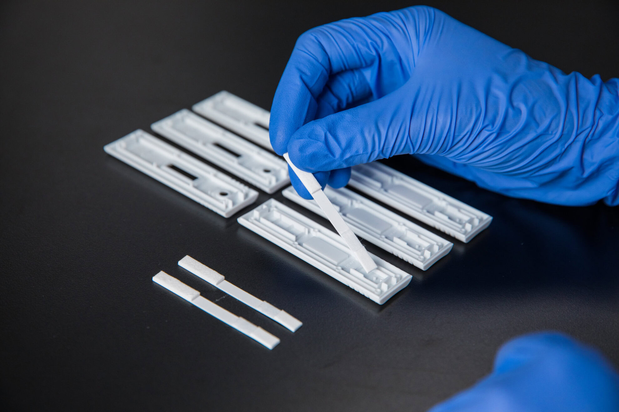 lateral flow materials, starter kit, LFA development, assay components, DCN Dx, DCNovations, lab essentials, rapid test development, diagnostic materials, lateral flow test, lfa development, assay development