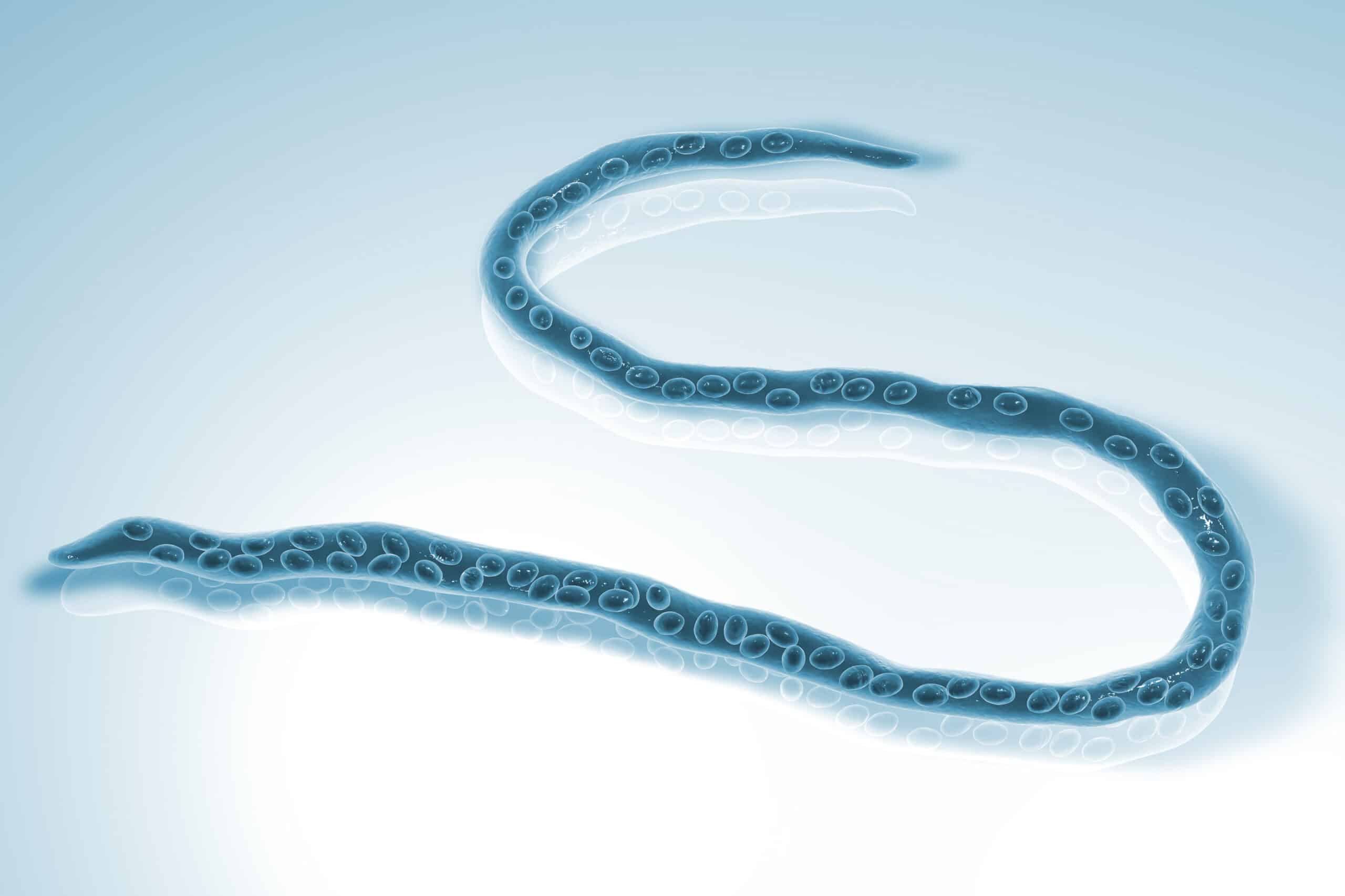 BIOASTER, onchocerciasis, lateral flow assay, lateral flow test, river blindness, IVD, Gates Foundation