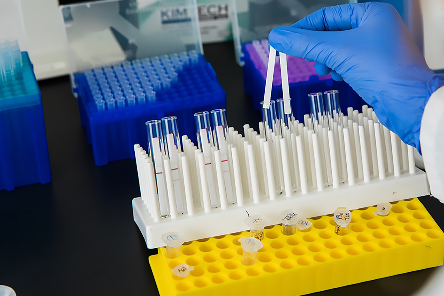 Improve the Interpretability of Your Lateral Flow Assay 