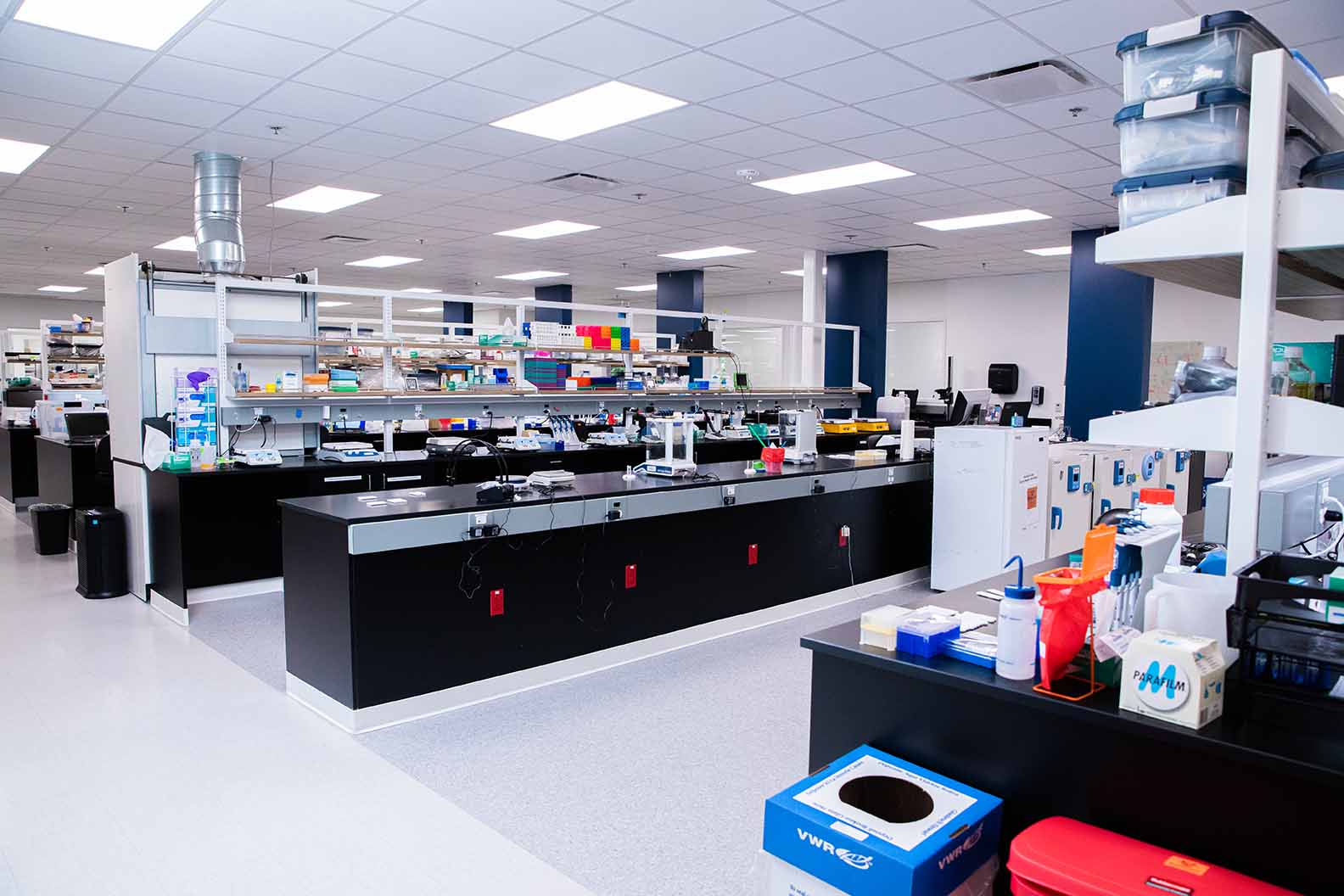 Assay development
