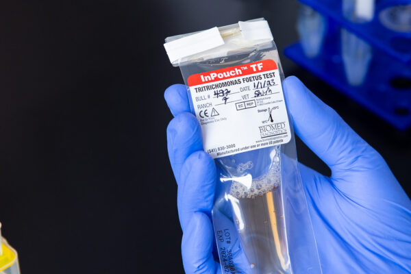 Methods for PCR Testing at AAVLD 2024