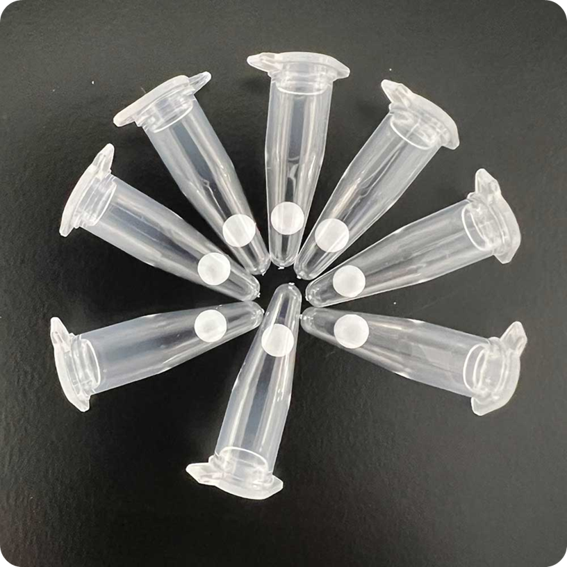 Lyophilized Beads