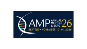 AMP 2026
